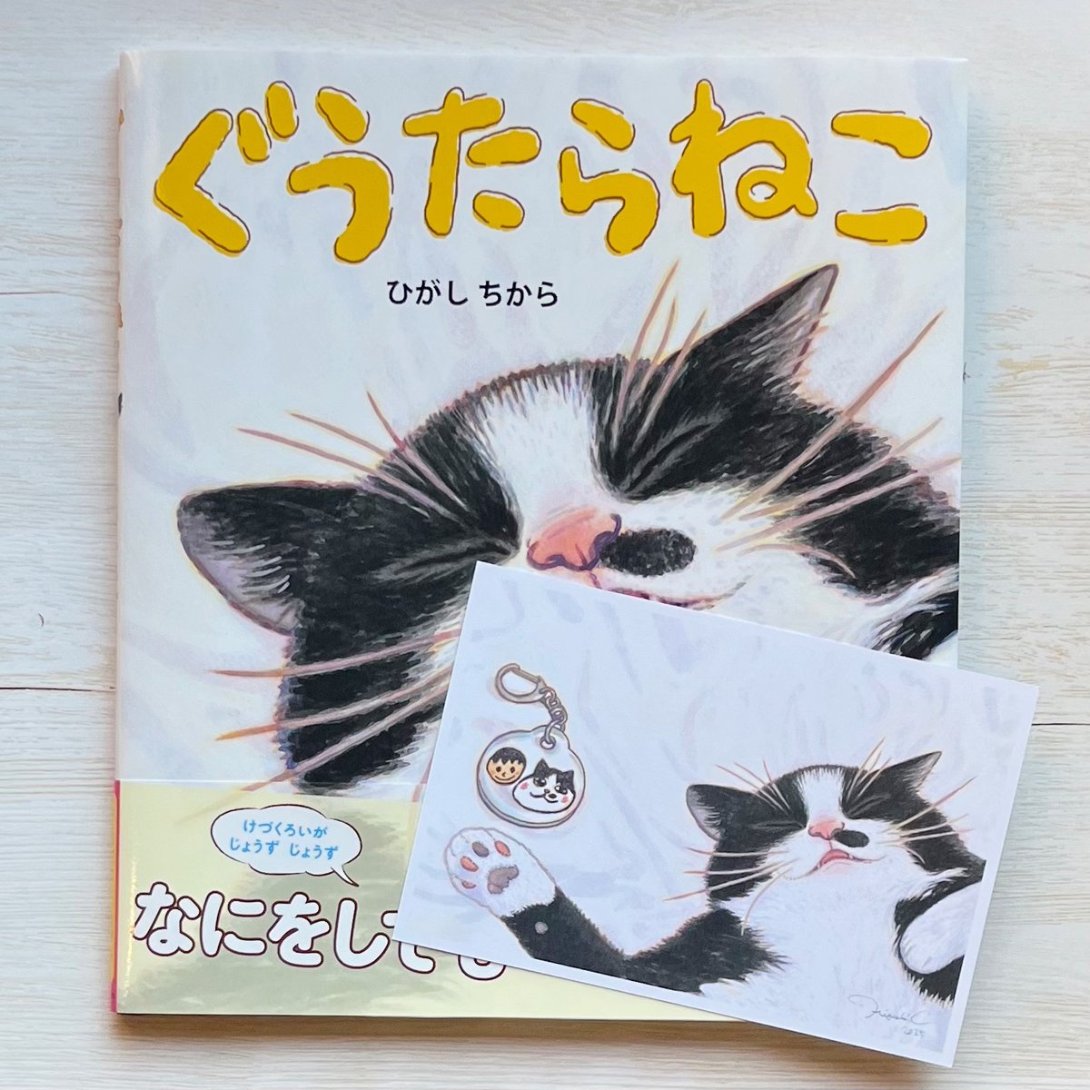 ぐうたらねこ ☆直筆サイン入り | necoya books web store