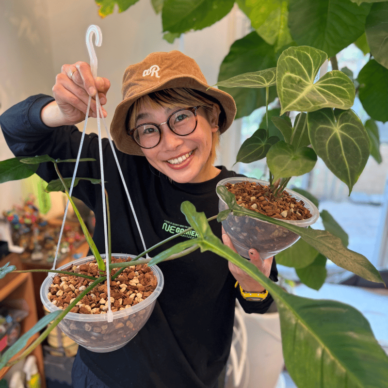 透明鉢《 NEgamieru 》 AIR Max 7号 1鉢 | 花森家-1号店-