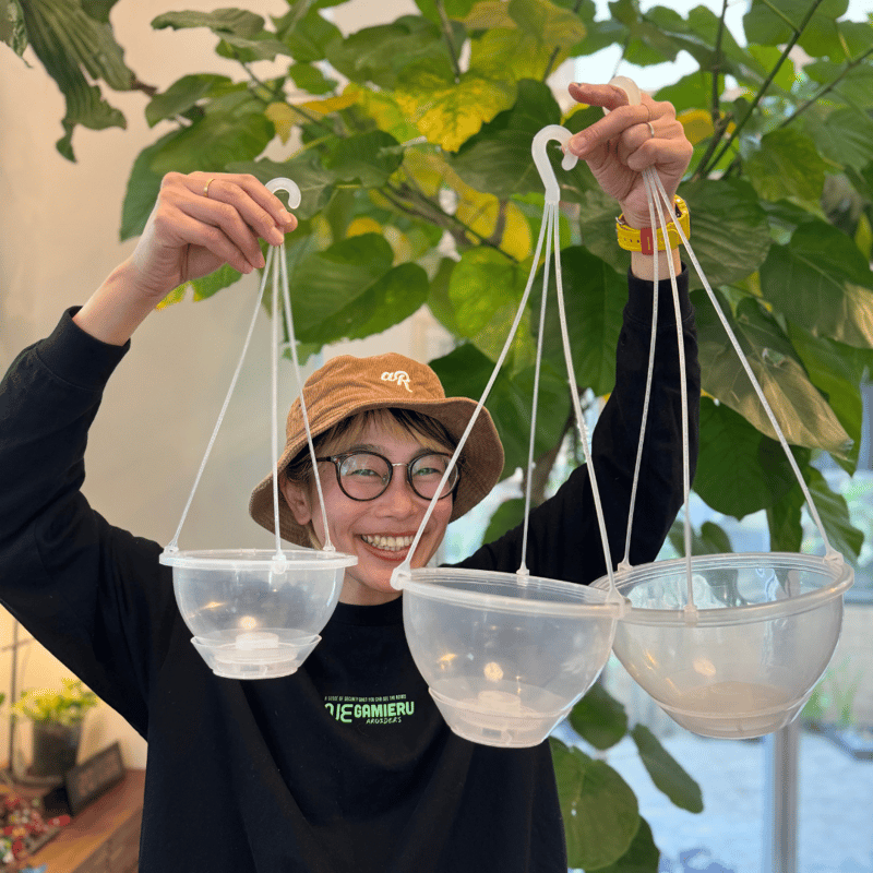 透明鉢《 NEgamieru 》 AIR Max 7号 1鉢 | 花森家-1号店-