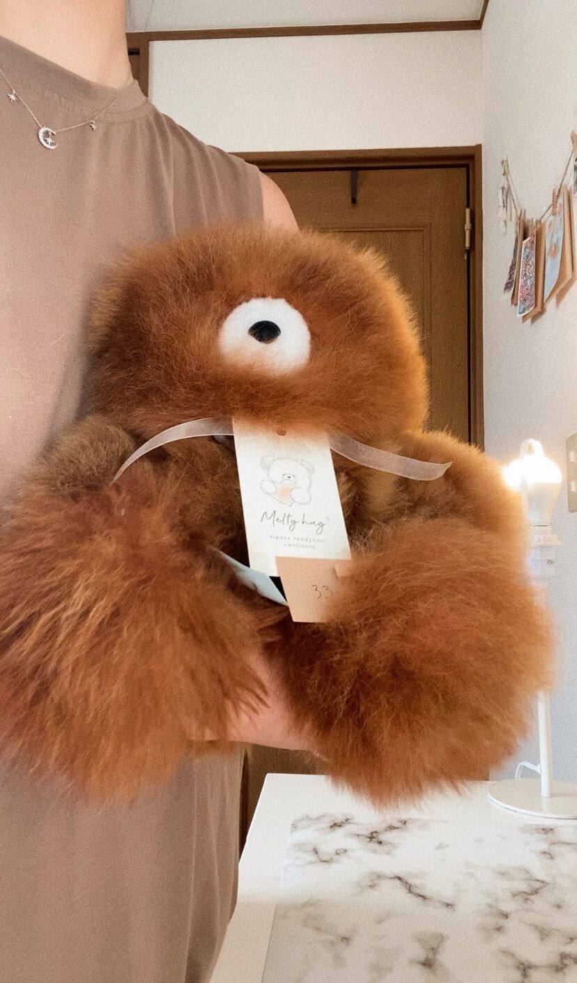 033 ］ アルパカテディベア / チョコレート / 送料無料 | Melty hug
