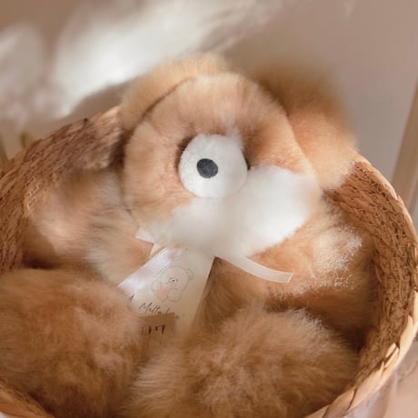 アルパカテディベア | STORES