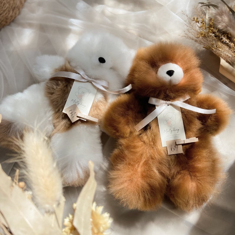 069 ］ チョコレート / アルパカテディベア / 送料無料 | Melt