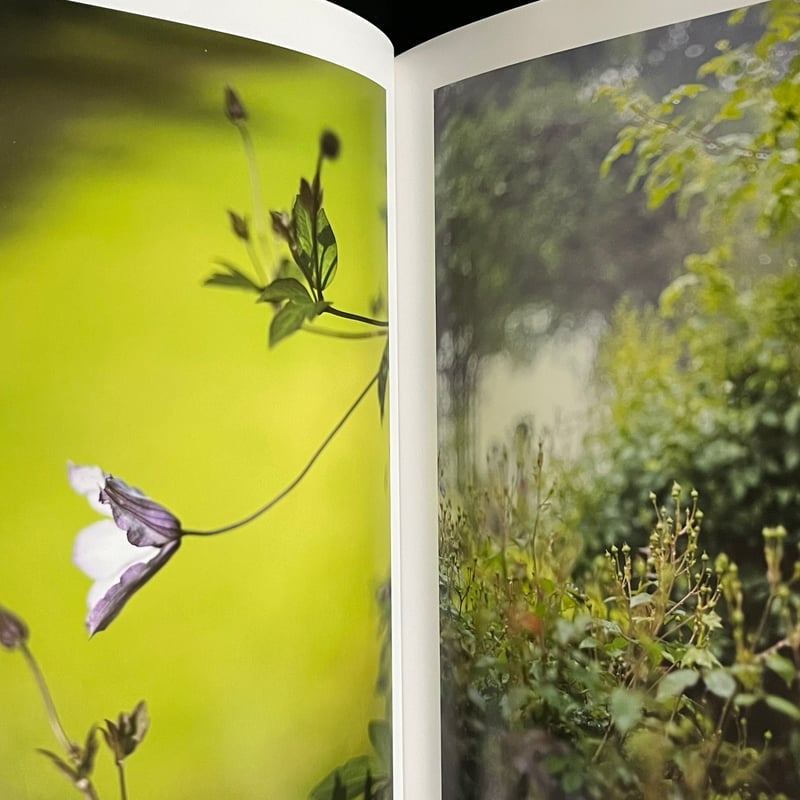 the may sun | Soleil et Lune Online Store