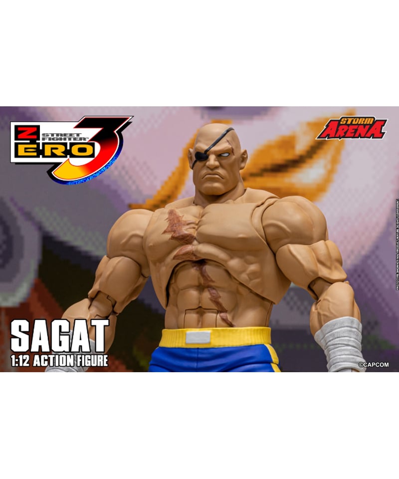 ストリートファイターZERO3 1/12スケール アクションフィギュア