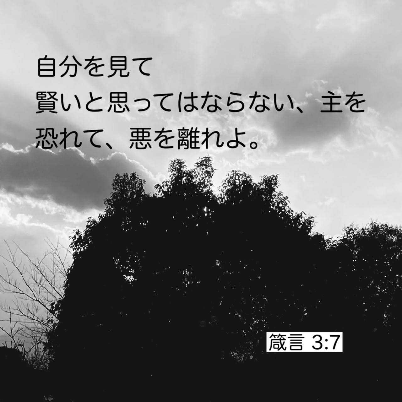 箴言 3:7 (新共同訳) - 自分自身を知恵ある者と見るな。 主を畏れ、悪