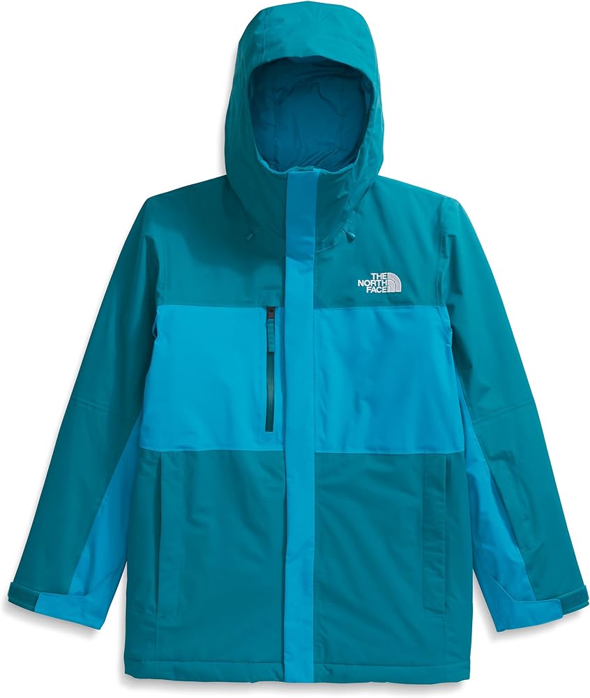 THE NORTH FACE Men's Freedom Insulated Jacket | India | Ubuy
