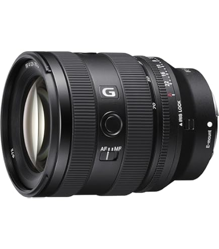 Buy Sony - FE 24-105mm F4 G OSS Standard Zoom Lens (SEL24105G/2