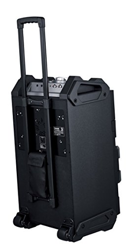 Panasonicの「SC-CMAX5」持ち運び出来て、カラオケや演奏にも使える大