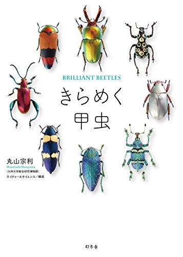 昆虫研究者に囲われた、セクシーすぎる愛人たちの図鑑『きらめく甲虫