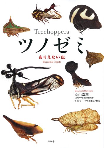 好蟻性生物に萌える！ 『アリの巣の生きもの図鑑』 - HONZ