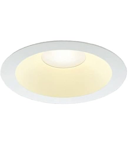 Amazon.co.jp: 大光電機（DAIKO） ダウンライト(軒下兼用) LED