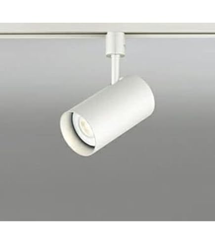 Amazon.co.jp : ENDO LEDシンプルスポットライト 配線ダクト