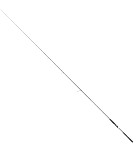 Amazon.co.jp: Tailwalk Rod SSD Surflat 98M : Sports & Outdoors