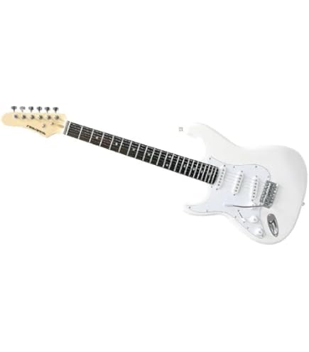 Amazon | PLAYTECH (プレイテック) エレキギター 左利き用 ストラト