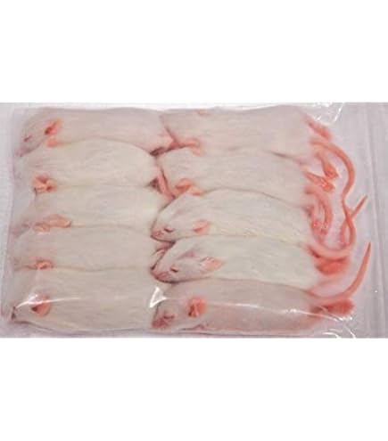 Amazon | 冷凍ホッパーマウス 100匹 | オリジナル | フード 通販