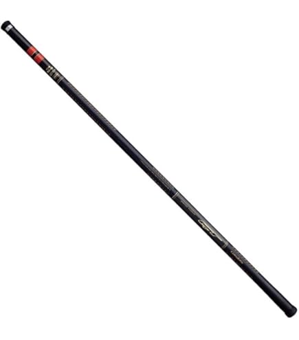 Amazon | がまかつ がま磯 我夢者2 4号5.0 | Gamakatsu(がまかつ) | 磯竿