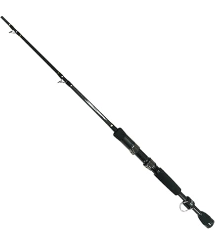 Amazon | 黒鯛工房 カセ筏師 DEEP RUN (ディープラン) BB4 153F カセ