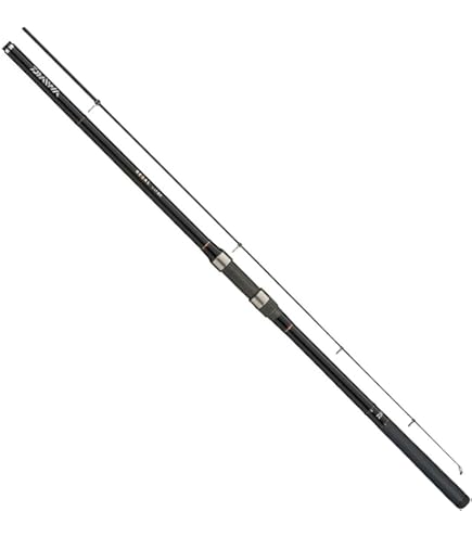 Amazon | ダイワ(Daiwa) 磯竿 スピニング 大島 3-53HR 釣り竿 | ダイワ