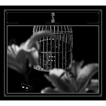 41cAip3KcaL._AC_UL210_SR210,