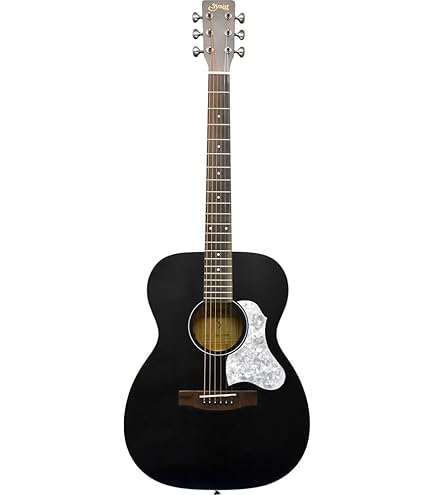 Amazon | S.Yairi ヤイリ Traditional Series アコースティックギター