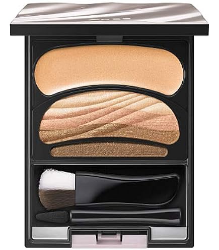 Amazon.co.jp: ソフィーナ オーブ ブラシひと塗りシャドウN 14ブラウン