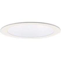 Amazon.co.jp: パナソニック(Panasonic) 天井埋込型 LED 温白色 ダウン