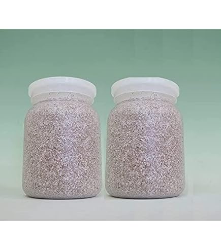 Amazon.co.jp: 【EXCEED CRAFT】LEVIN-G800H 800cc オオヒラタケ 菌糸