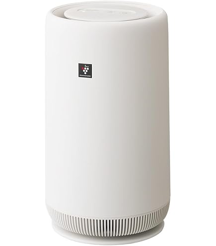 Amazon.co.jp: ReSPR（レスパー）ONE 〜30㎡(9坪)用 : ホーム＆キッチン