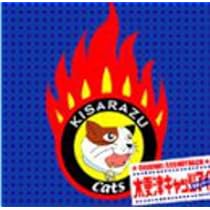 41yjaDmyoOL._AC_UL210_SR210,