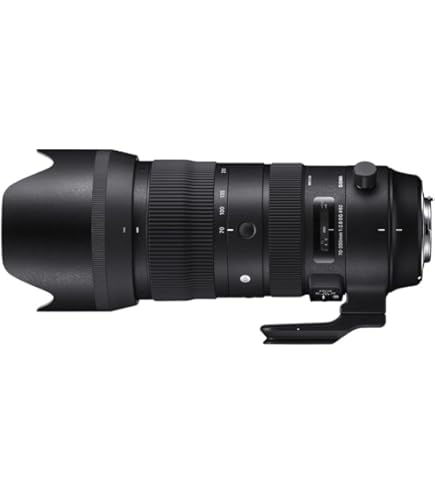 Amazon.co.jp: SIGMA 望遠ズームレンズ APO 70-200mm F2.8 EX DG OS
