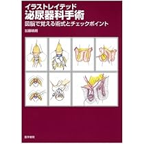 511HRUgWYdL._AC_UL210_SR210,