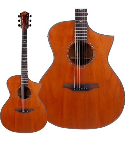 Amazon | Bromo BAA1 ブロモ アコースティックギター ドレッドノート