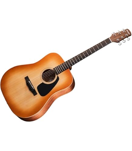 Amazon.co.jp: Morris モーリス Perfomers Edition F-021 RBS