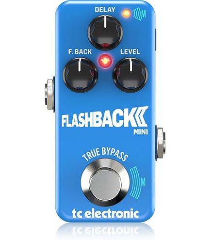 Amazon | tc electronic Flash Back DELAY & LOOPER ギター