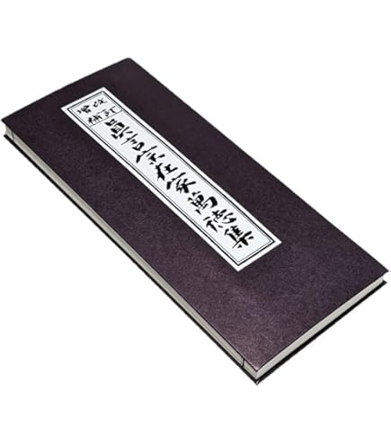 Amazon.co.jp: 大般若理趣分転読加持法服部如實 編 真言宗 修験 密教