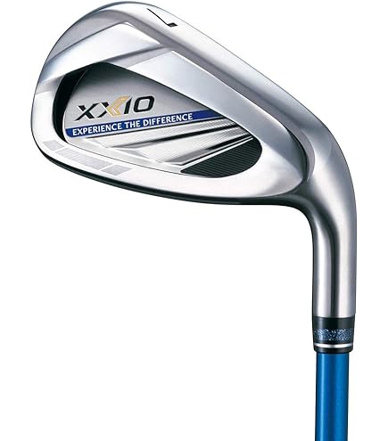 Amazon.co.jp: ゼクシオ(XXIO) フォージド アイアン NSプロ950GH