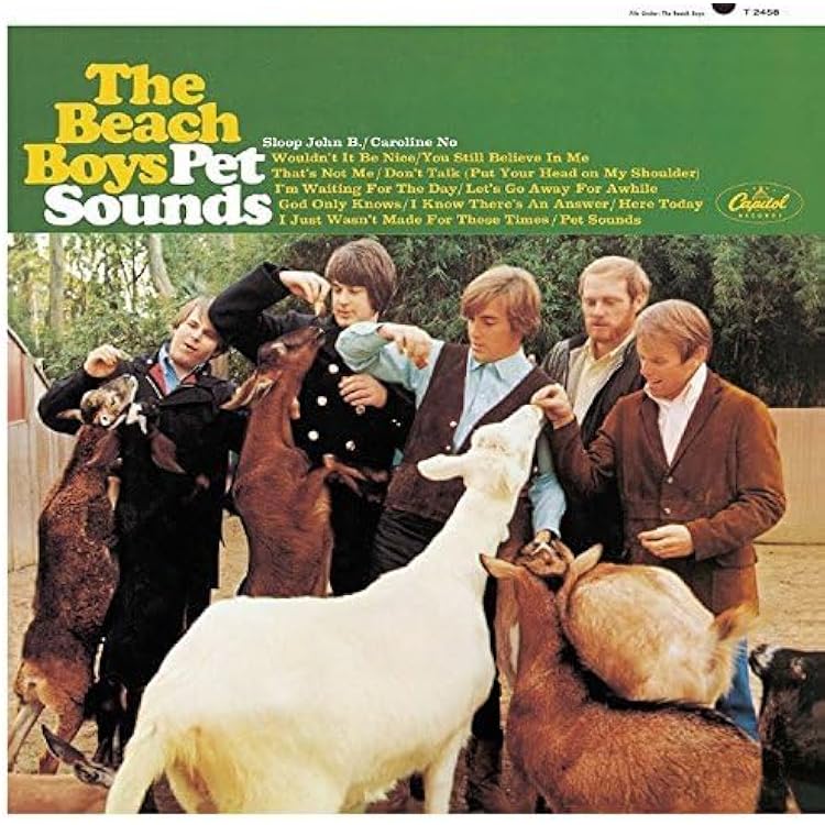 Amazon.co.jp: The Beach Boys: The Platinum Collection (Sounds of
