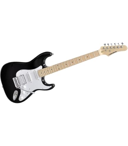 Amazon | PLAYTECH (プレイテック) エレキギター ストラトキャスター