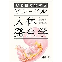 ラングマン人体発生学 第11版 | 安田峯生, 山田重人 |本 | 通販 | Amazon