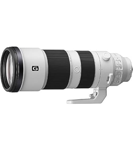 Amazon.co.jp: TAMRON 超望遠ズームレンズ SP AF200-500mm F5-6.3 Di