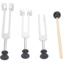 Amazon.co.jp: Es tink 音叉治癒器具、医療用音叉セット256Hzを