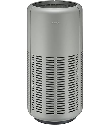 Amazon.co.jp: LEAF Portable（ゴールド） : ホーム＆キッチン