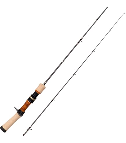 Amazon | パームス(Palms) エゲリア ネイティブパフォーマンス EFVC