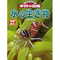 51RinOiqCkL._AC_UL210_SR210,