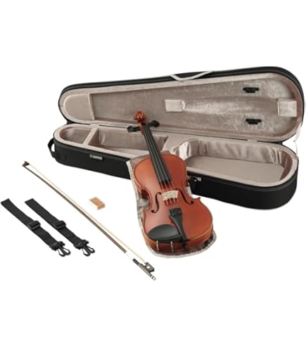 Amazon | EASTMAN SVL80ｾｯﾄ 4/4 バイオリンセット (イーストマン