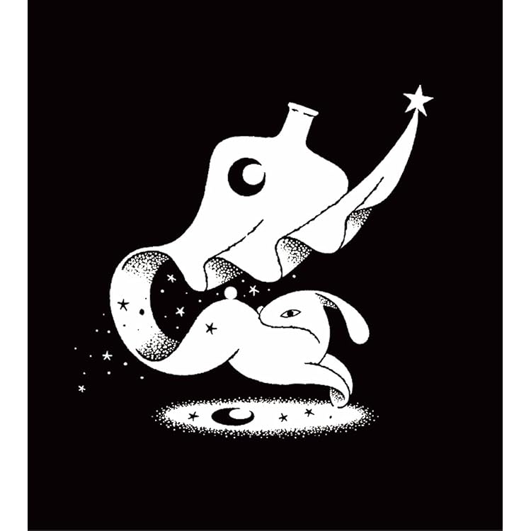 Amazon.co.jp: 日食なつこ 15th Anniversary BEST -Fly-by2024- （通常