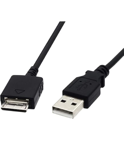 Amazon.co.jp: Basicest WM-PORT WMC-NW20MU USB 充電 データ同期