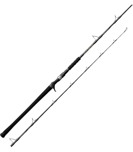 Amazon | 天龍(Tenryu) スワット SW | トラウトロッド