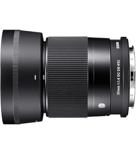 Amazon.co.jp: SIGMA 30mm F1.4 DC DN | Contemporary C016 | Sony E