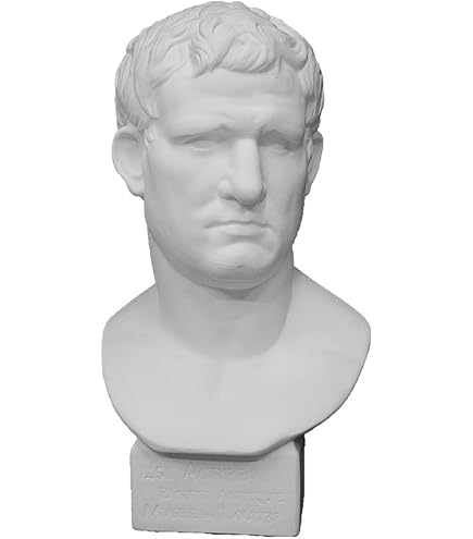 Amazon.co.jp: 石膏像 K－125 アマゾン胸像（ローマ） H